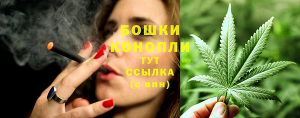 первитин Новодвинск